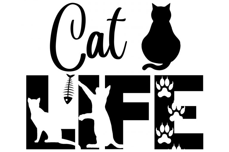 Free Cat Life SVG File