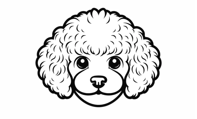 Free Poodle and Labrador SVG Files