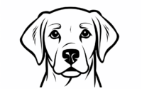 Free Poodle and Labrador SVG Files