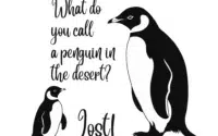 Free What do you call a Penguin SVG?