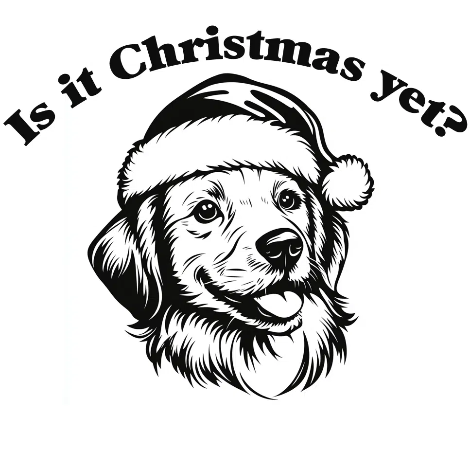 Free Is it Christmas Yet SVG File