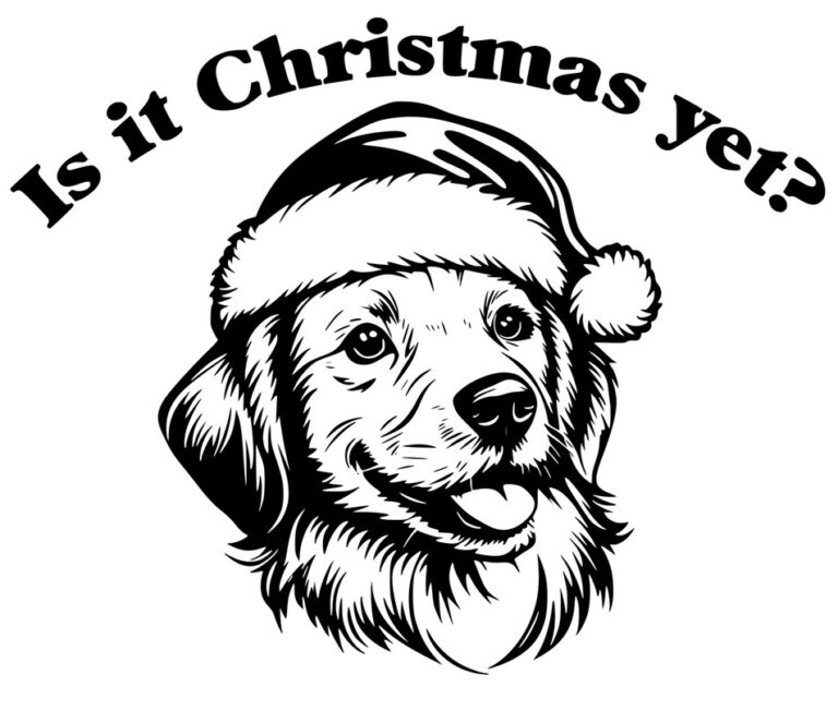 Is it Christmas yet?